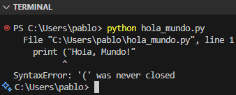 Error en el código de un programa visto en la Terminal