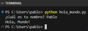Terminal de VS Code ejecutando un programa con input() con espacio en el prompt