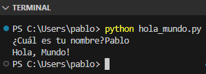 Terminal de VS Code ejecutando un programa con input() sin espacio en el prompt
