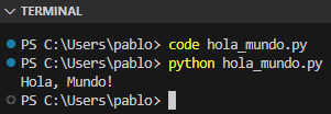 Terminal de VS Code ejecutando un programa